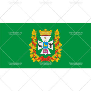 Флаг Гомельской области (CDR)