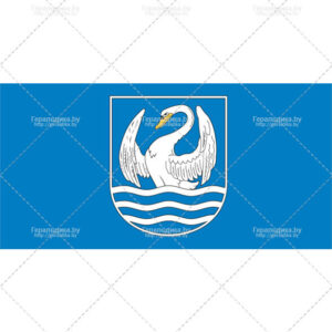 Флаг города Миоры (CDR)