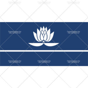 Флаг города Новополоцк (CDR)