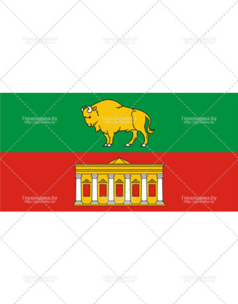 Флаг города Свислочи (CDR)