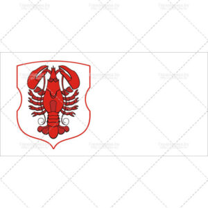 Флаг поселка Радунь (CDR)