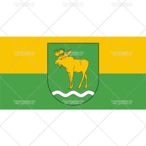 Флаг поселка Россоны (CDR)