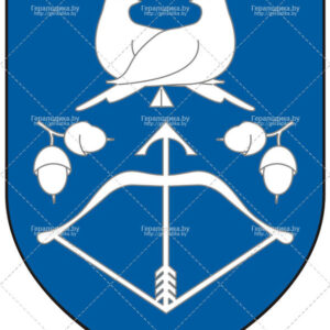 Герб города Дрогичин (CDR)