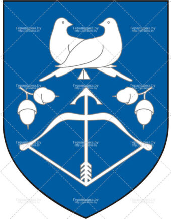 Герб города Дрогичин (CDR)