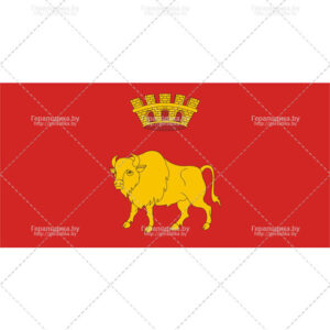 Флаг Гродненской области (CDR)