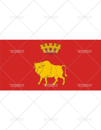 Флаг Гродненской области (CDR)