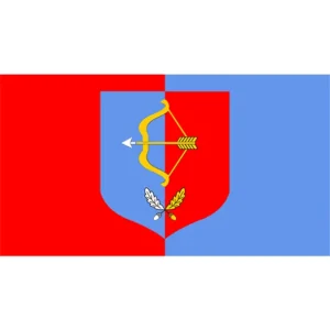 Флаг Пинского района (CDR)