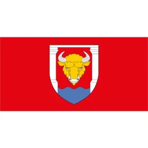 Флаг Гродненского района (CDR)