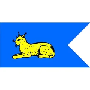 Флаг Новобелицкого района (CDR)