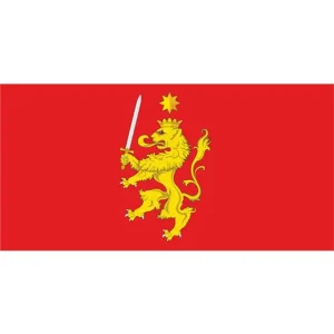 Флаг поселка Паричи (CDR)