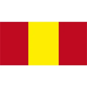 Флаг поселка Видзы (CDR)