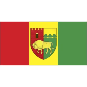 Флаг Каменецкого района (CDR)